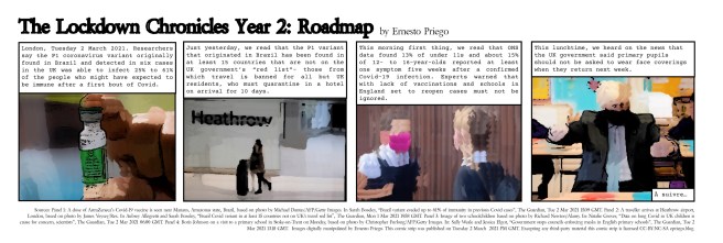 The Lockdown Chronicles Year 2-Roadmap